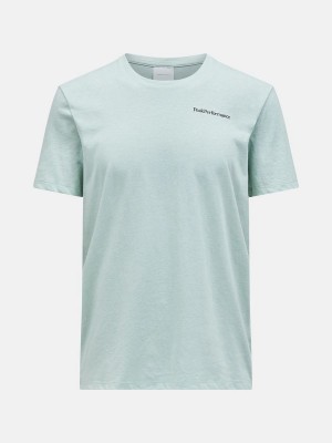 Peak Performance Explore Logo Men's T-Shirt Green | HEV47-412