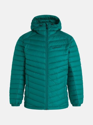 Peak Performance Frost Hood Men's Down Jacket Green | UFD51-563