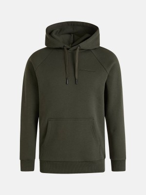 Peak Performance Original Small Logo Men's Hoodie Green | WSM62-308