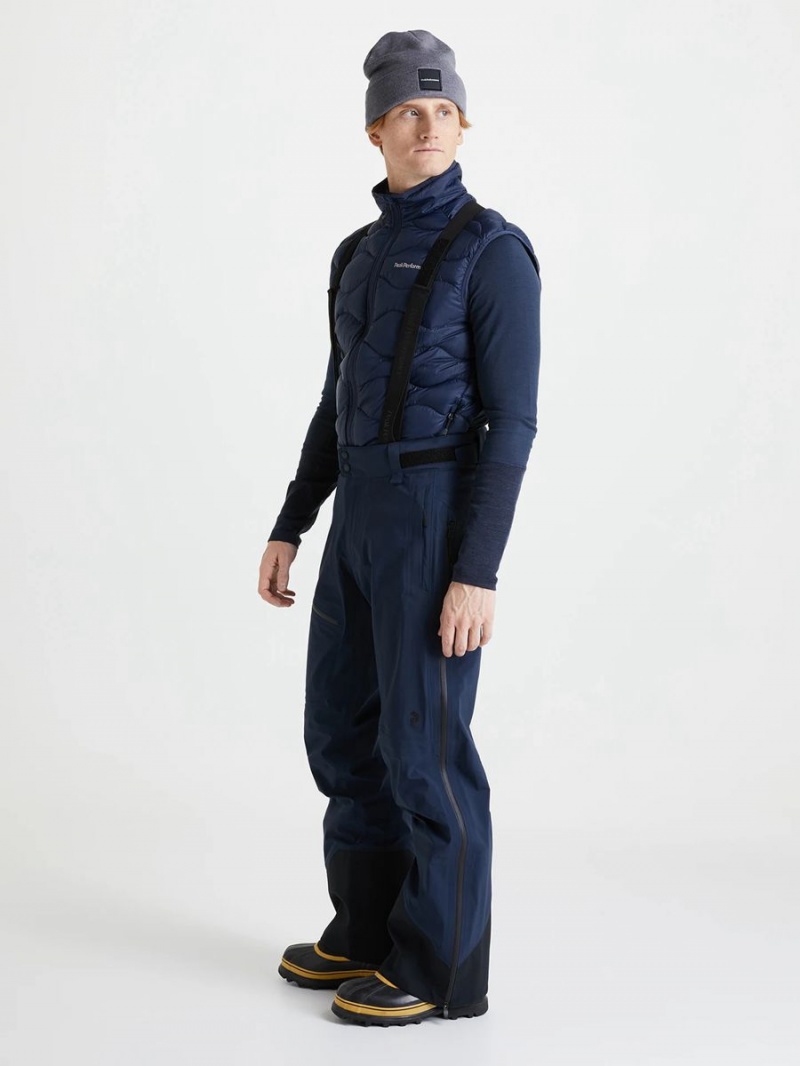 Peak Performance Alpine Gore-Tex 3L Men's Ski Pants Navy | YHD04-891