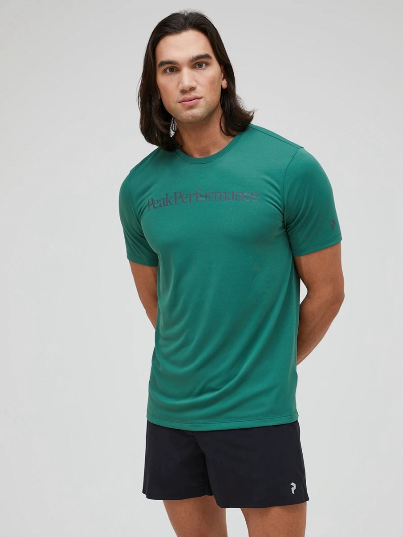 Peak Performance Alum Light Short Sleeve Men's T-Shirt Green / Black | VVG94-546