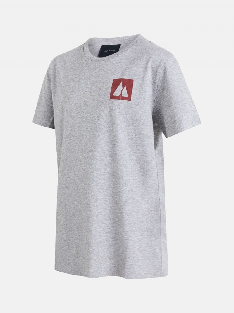 Peak Performance FWT Original Kids' T-Shirt Grey | AIN35-027