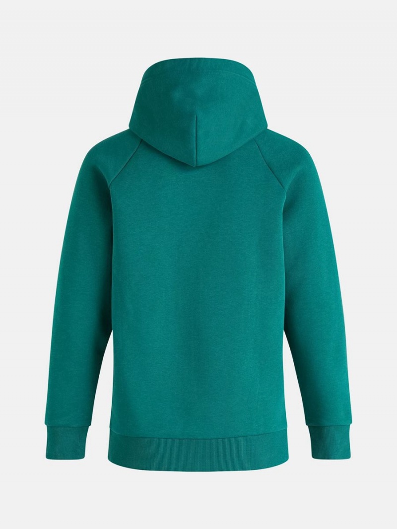 Peak Performance Original Men's Hoodie Green | ZTF41-334