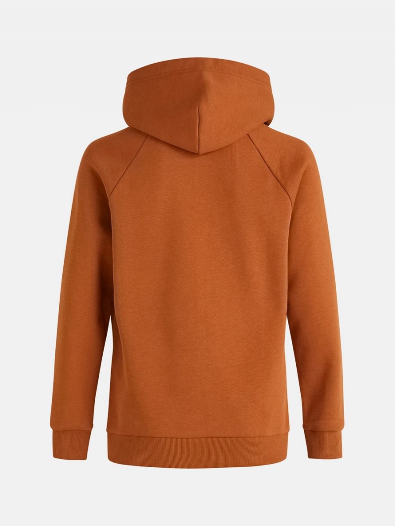 Peak Performance Original Small Logo Men's Hoodie Orange | JKC53-811