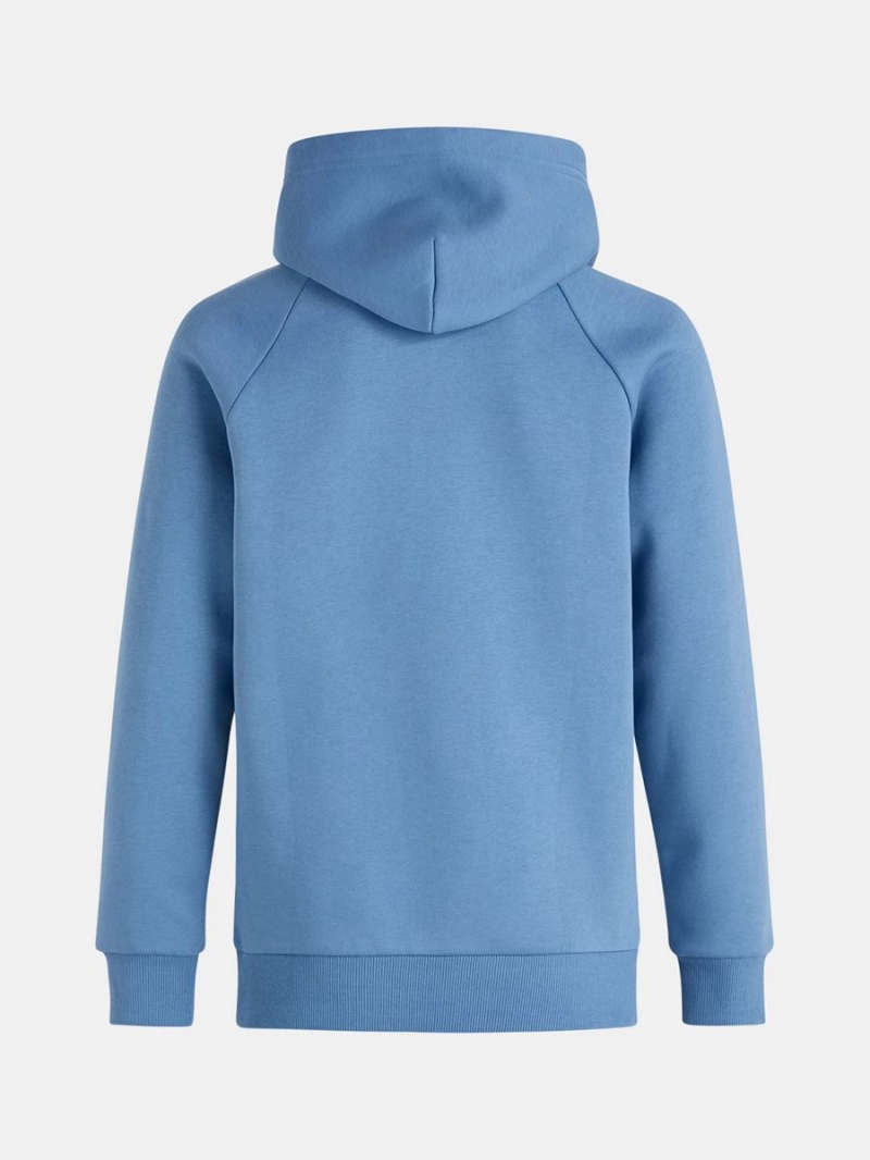 Peak Performance Original Small Logo Men's Hoodie Blue | AVL94-005