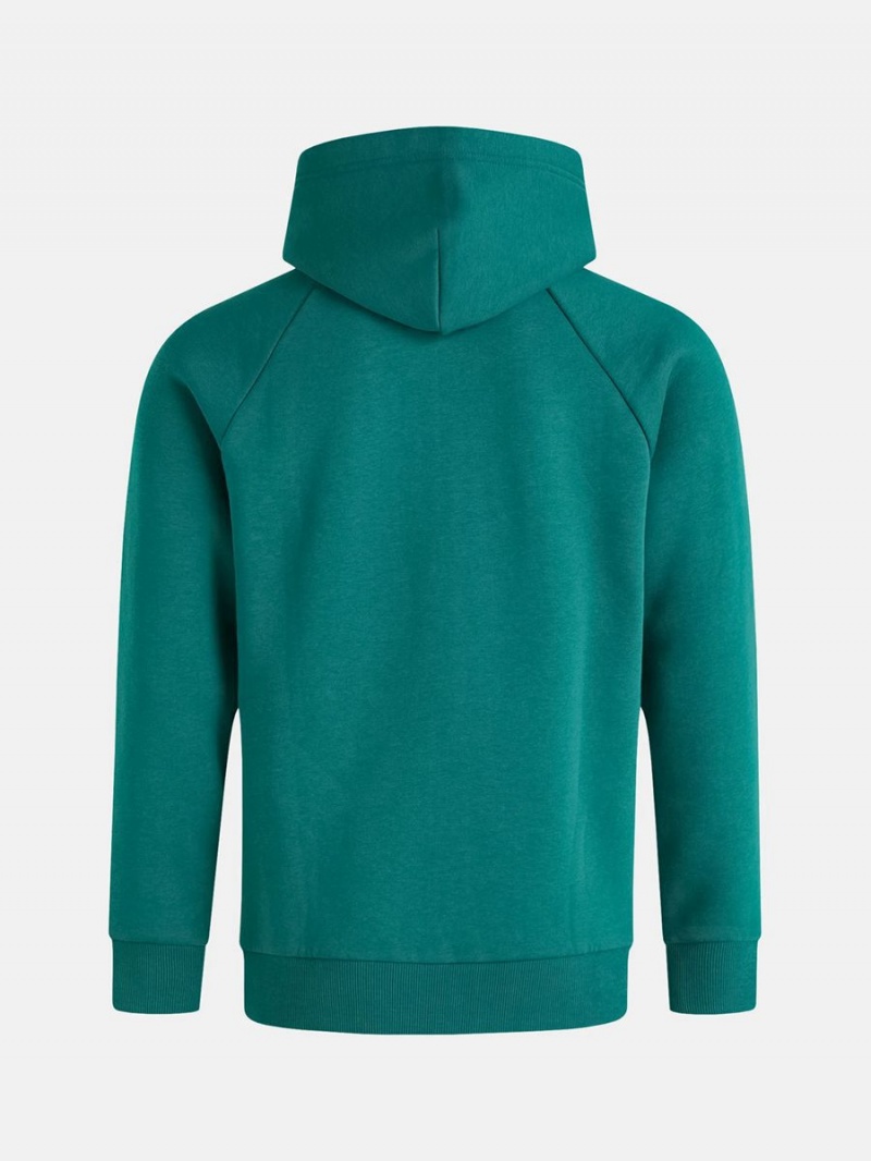 Peak Performance Original Small Logo Men's Hoodie Green | WPR12-240