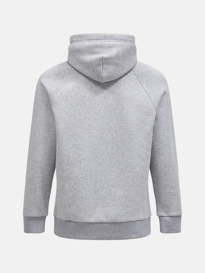 Peak Performance Original Small Logo Men's Hoodie Grey | DFI94-881