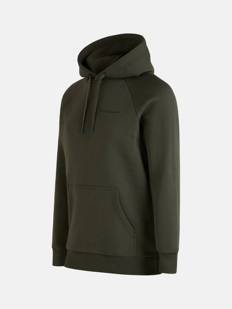 Peak Performance Original Small Logo Men's Hoodie Green | WSM62-308