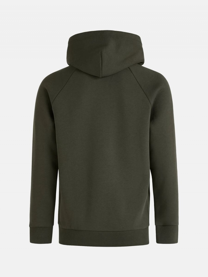 Peak Performance Original Small Logo Men's Hoodie Green | WSM62-308