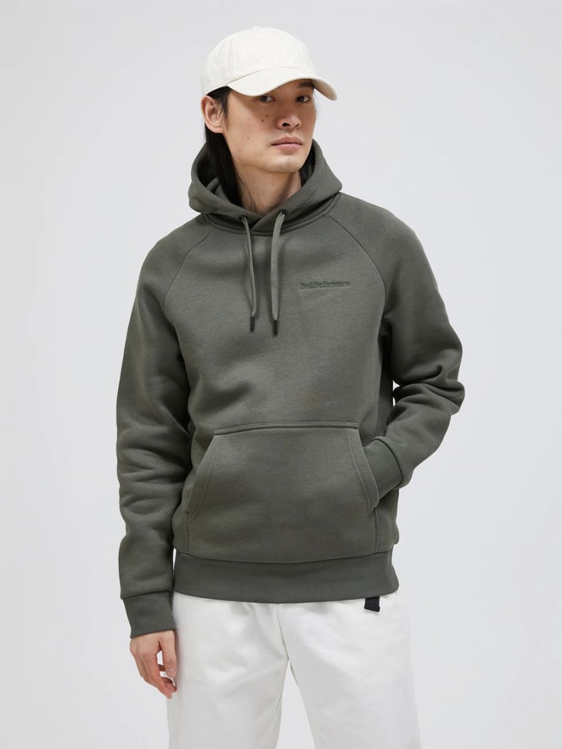 Peak Performance Original Small Logo Men's Hoodie Green | IBQ59-804