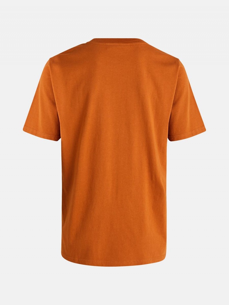 Peak Performance Original Small Logo Men's T-Shirt Orange | LVW43-728