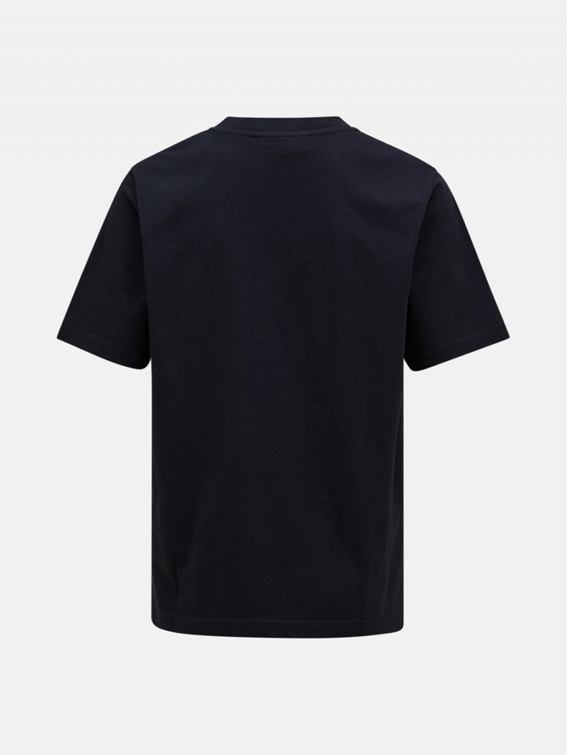 Peak Performance Original Small Logo Men's T-Shirt Black | HZL39-160