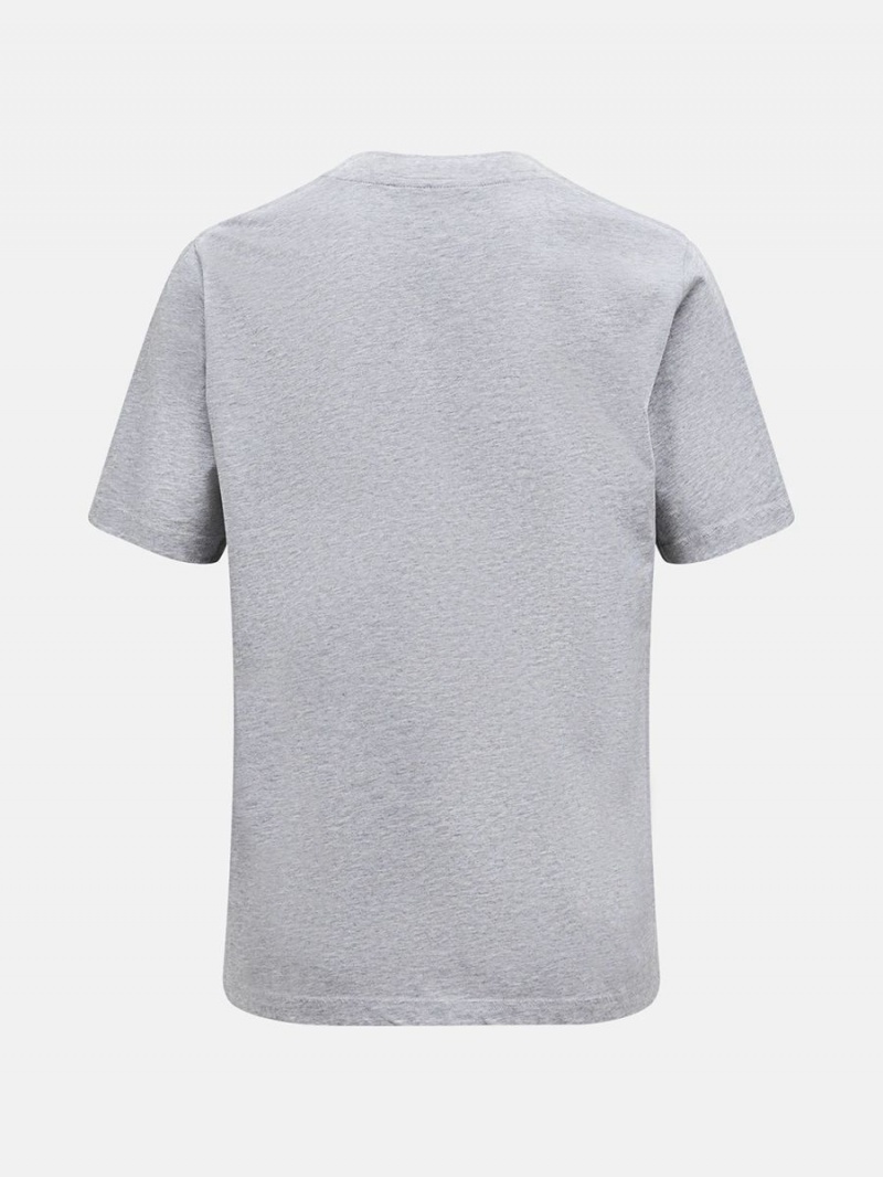 Peak Performance Original Small Logo Men's T-Shirt Grey | KWJ36-651