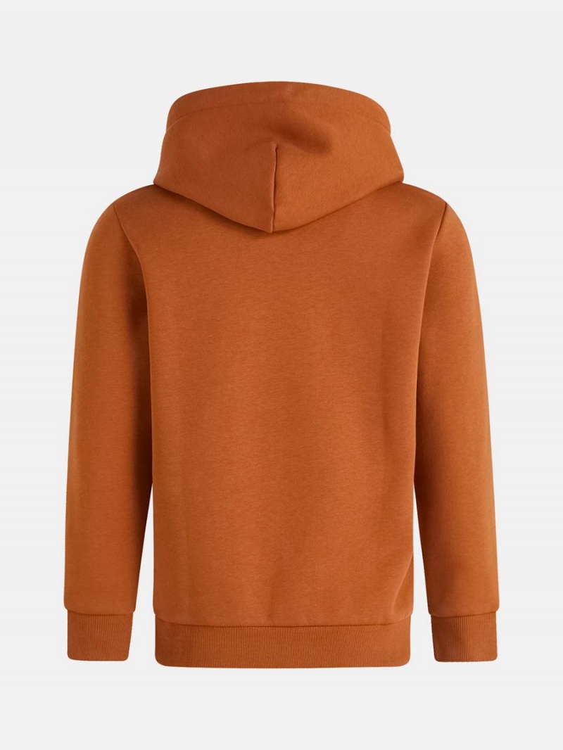 Peak Performance Original Small Logo Women's Hoodie Orange | INH81-045