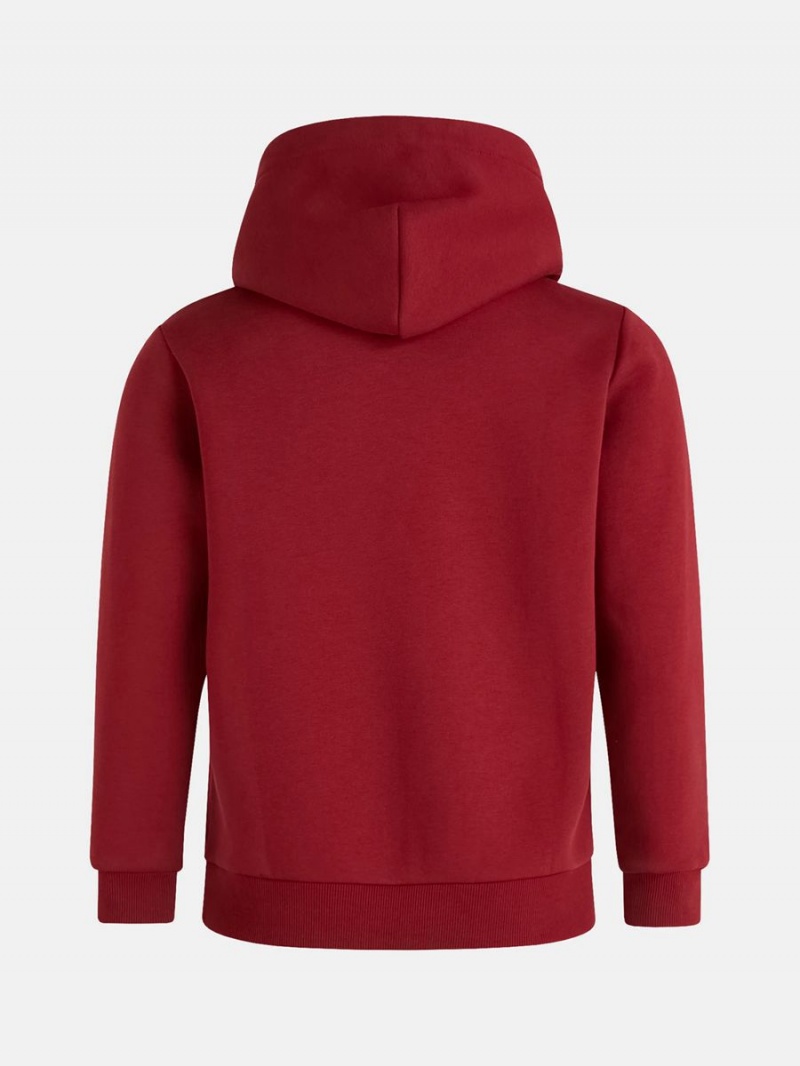 Peak Performance Original Small Logo Women's Hoodie Red | PYW85-362