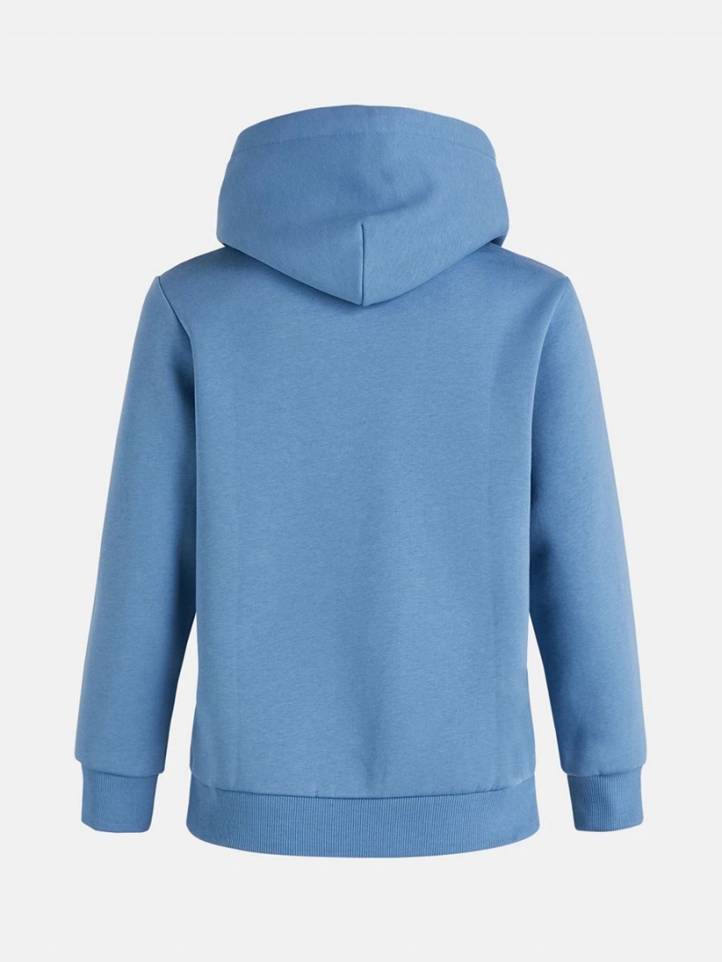 Peak Performance Original Small Logo Women's Hoodie Blue | XDK73-088