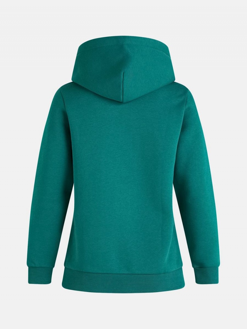 Peak Performance Original Small Logo Women's Hoodie Green | HHV83-124