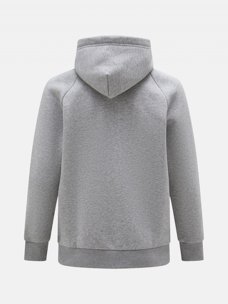 Peak Performance Original Small Logo Zip Men's Hoodie Grey | UYM88-556