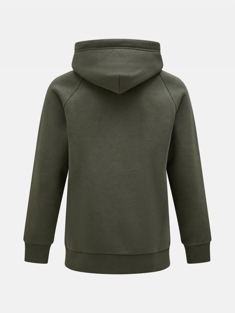 Peak Performance Original Small Logo Zip Men's Hoodie Green | MCX33-395