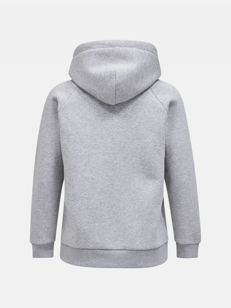 Peak Performance Original Small Logo Zip Women's Hoodie Grey | AIP44-443