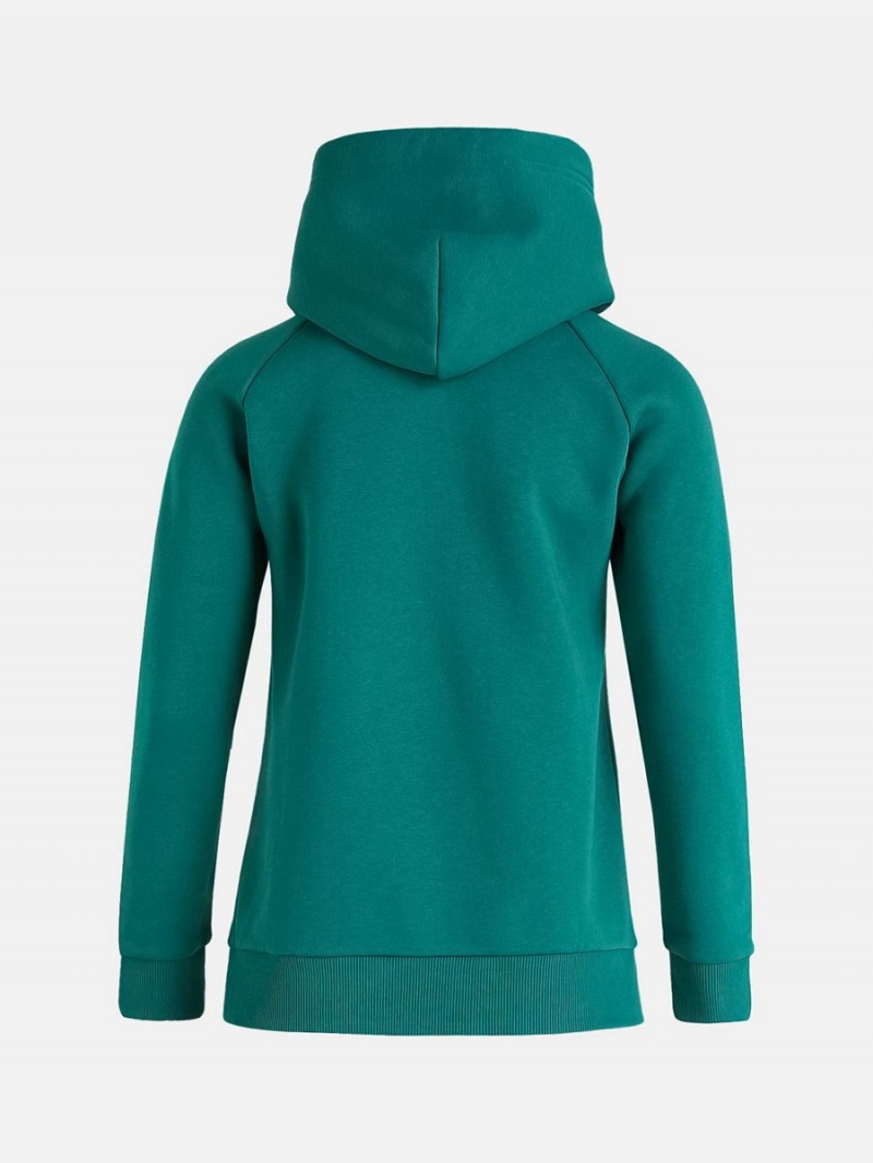 Peak Performance Original Women's Hoodie Green | RMB66-311