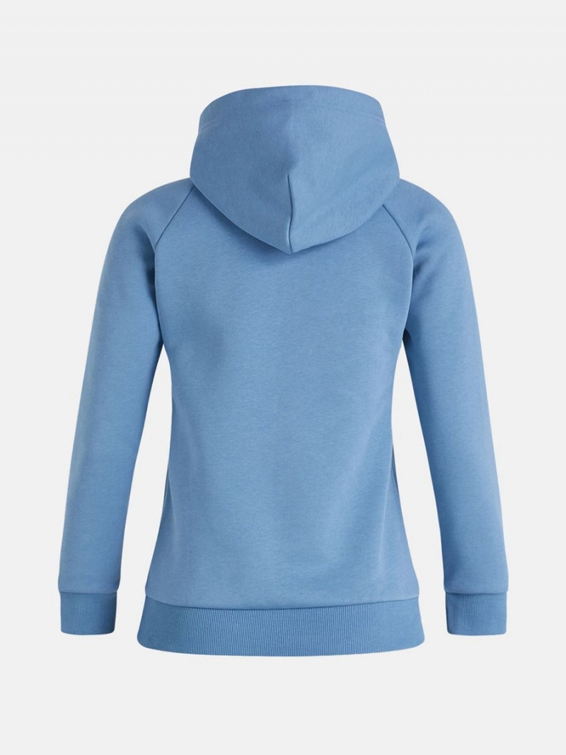 Peak Performance Original Women's Hoodie Blue | DET18-679