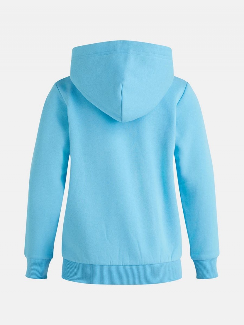 Peak Performance Original Zip Kids' Hoodie Blue | GHM70-696