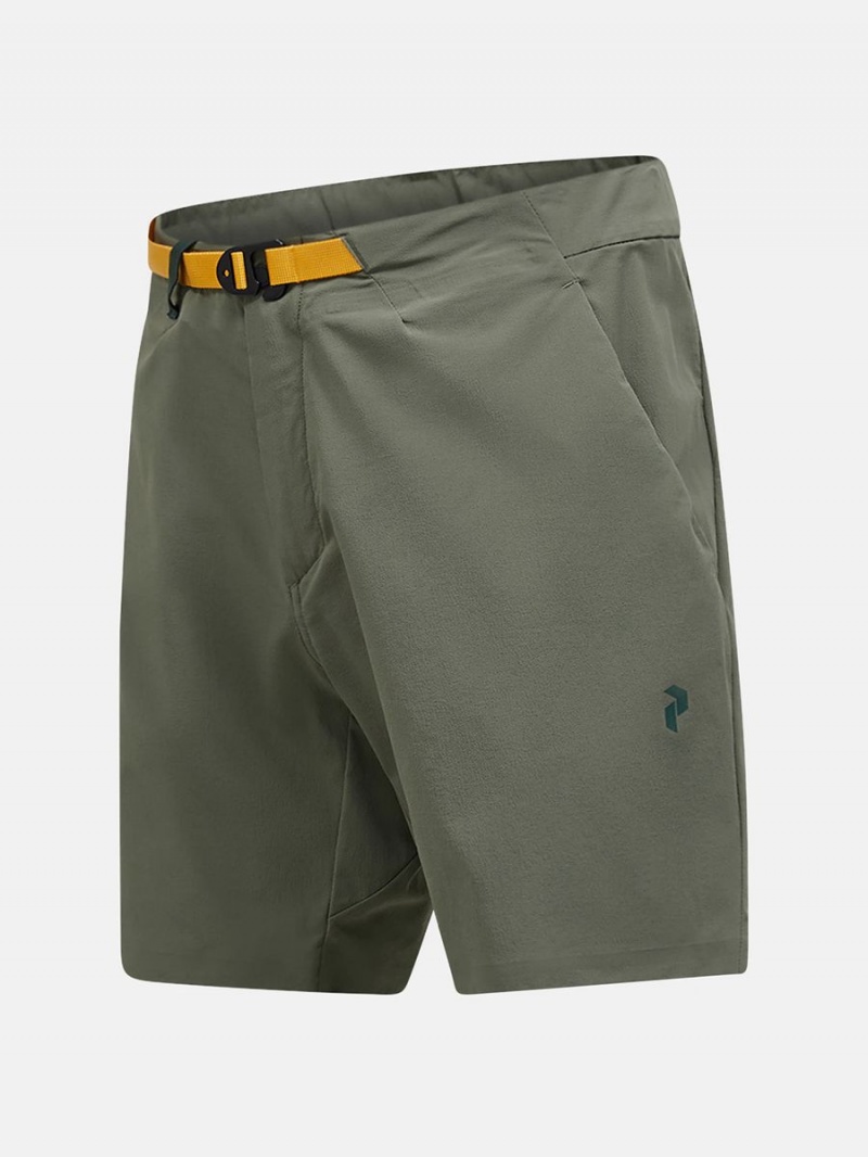 Peak Performance Vislight Light Men's Shorts Green | PDO35-888